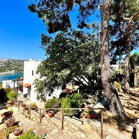 Seaview Grand - Magic Gundogan Ξενοδοχείο Αλικαρνασσός